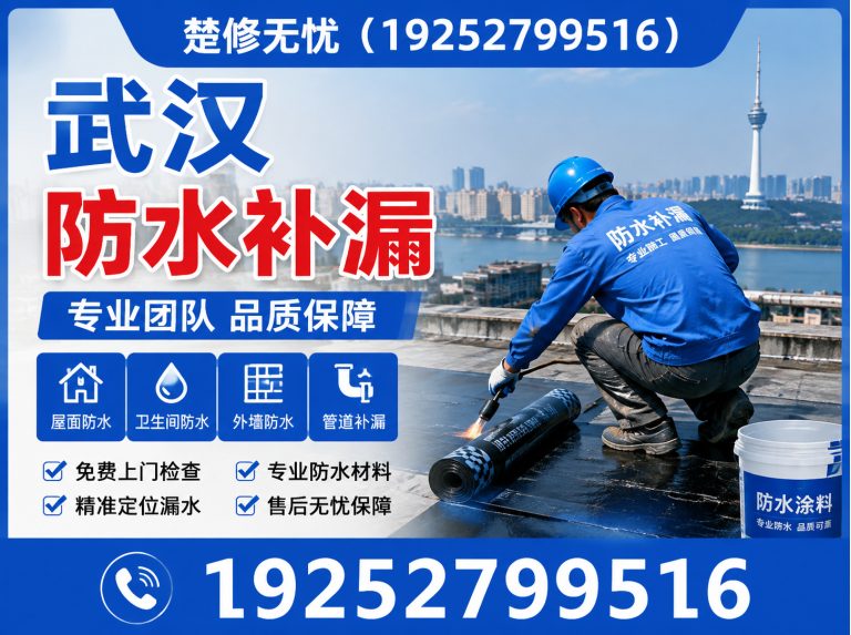 新洲区渗漏检测展示图